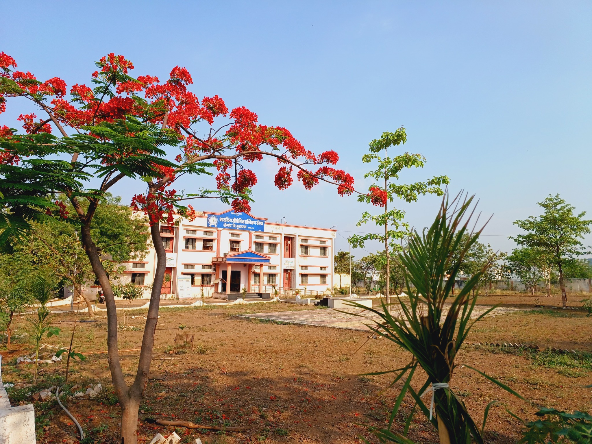 College Left Side View